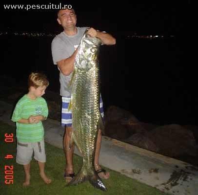 de pe net - loadfotophp.jpg